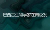 巴西古生物学家在南极发现新型淡水小龙虾化石 生活在距今7500万年前